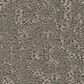 Shaw Clever Choice Carpet in Fallen Acorn, , large