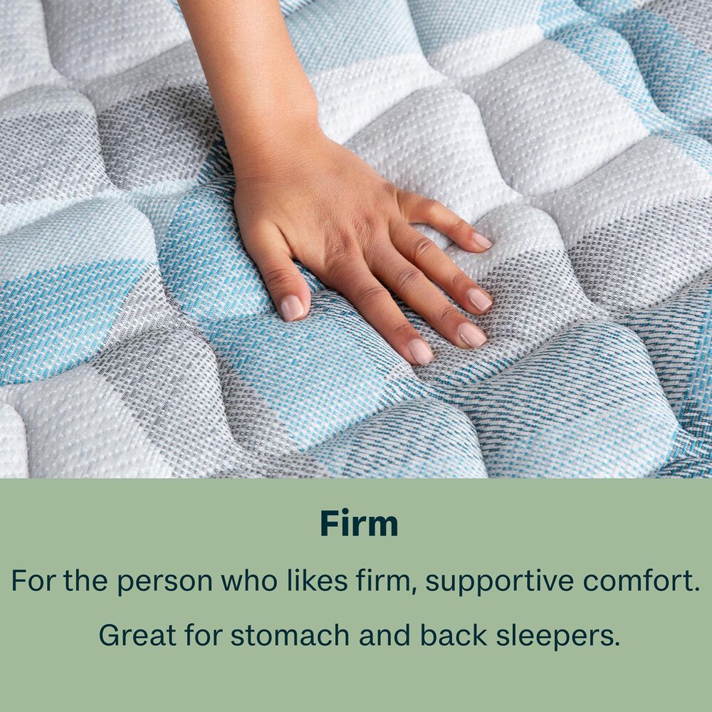 BeautySleep Essential Dream 11.5&quot; Firm Full Mattress, , large