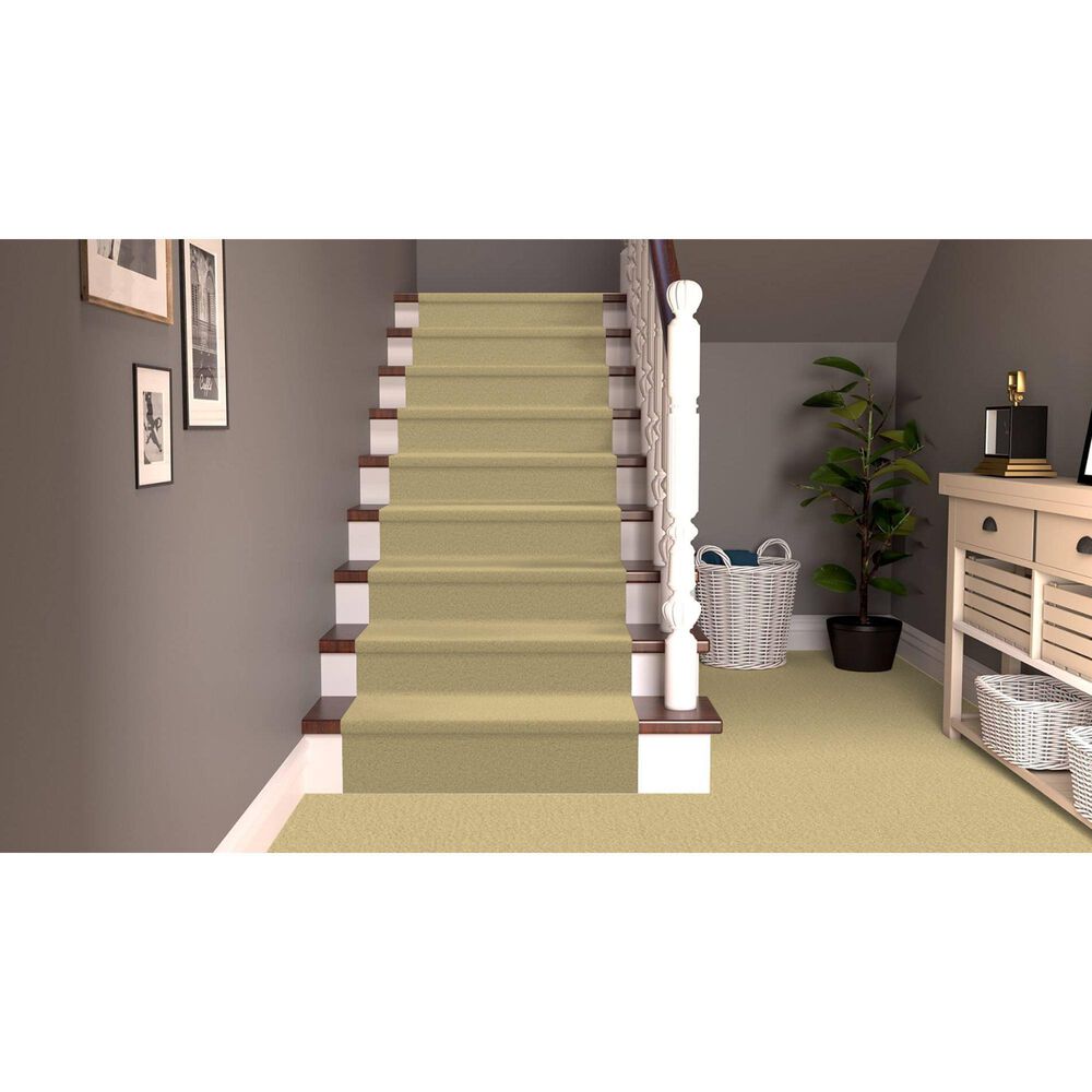 Dixie Home Simplicity Carpet in Portico, , large