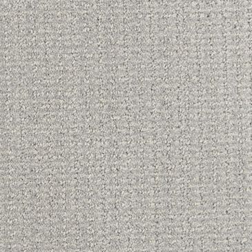 Dixie Home Sensible Carpet in Icicle, , large