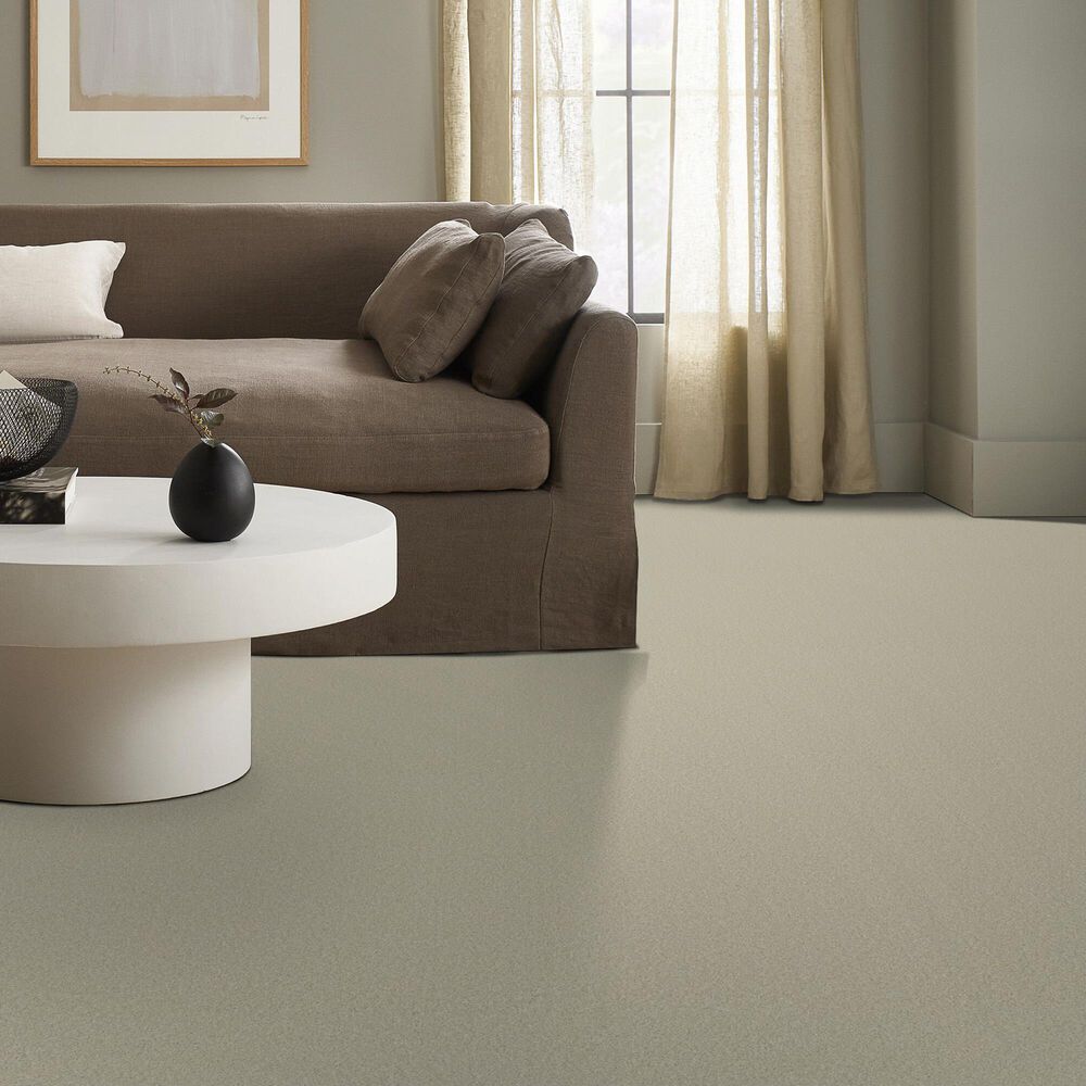 Anderson Tuftex Enduring Charm Carpet in Aloe Wash, , large
