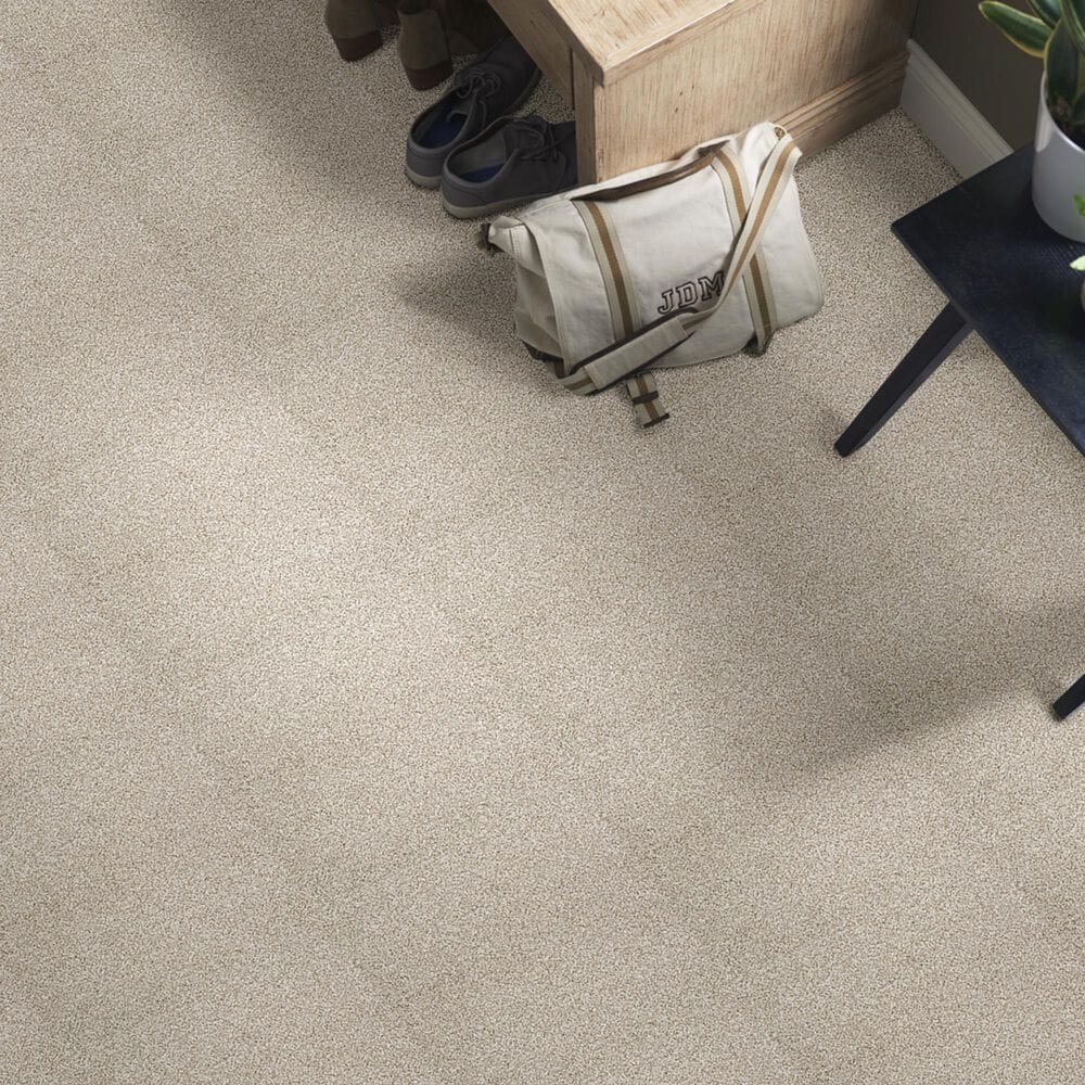 Shaw Foundations Take The Floor Tonal II Carpet in Fantasy, , large