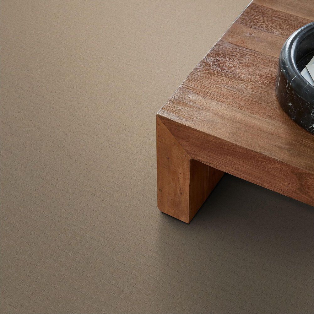 Anderson Tuftex West Haven Carpet in Terrazo, , large