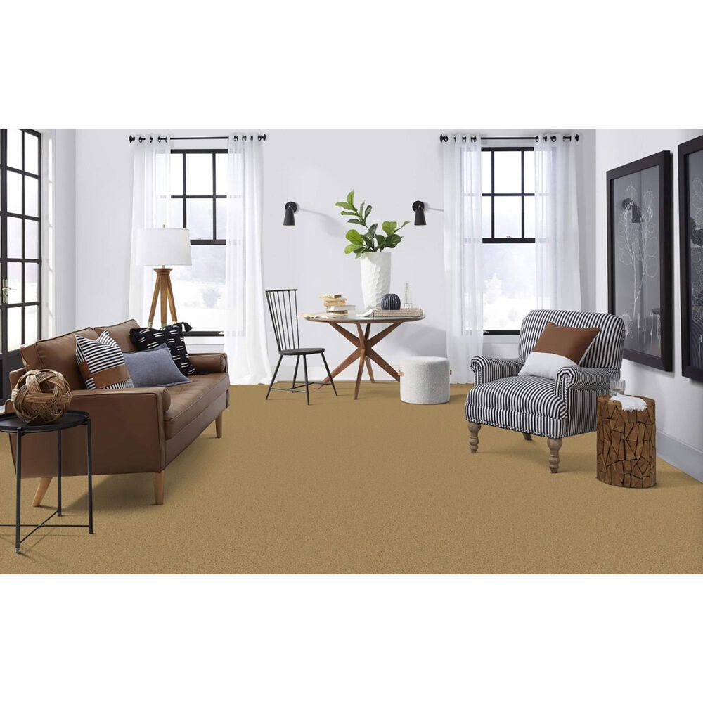 Masland Indulgence Carpet in Anzac, , large