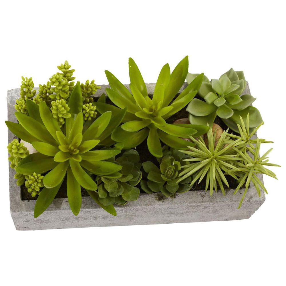 37B Succulent Garden with Concrete Planter, , large