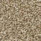 Shaw Just A Hint I Carpet in Gold Rush, , large