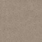 Shaw Grand Outlook Carpet in Sculpture, , large