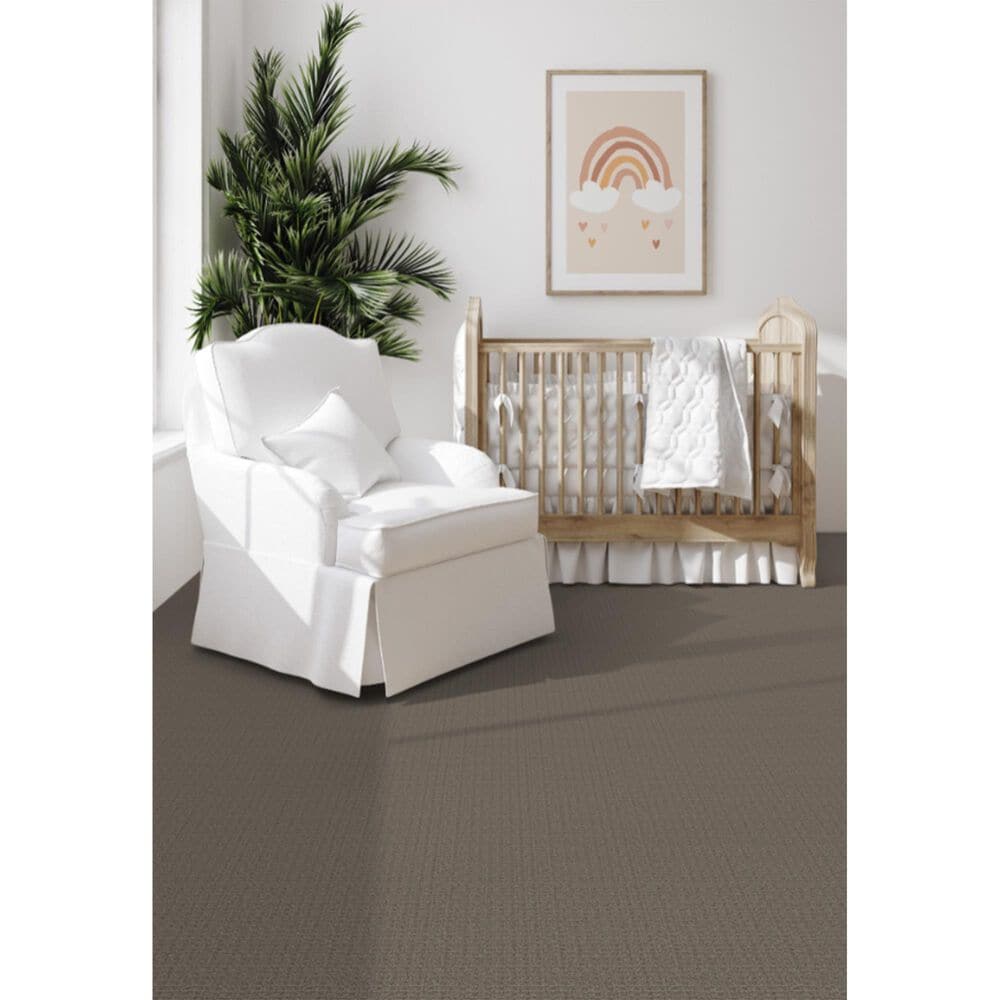 Dixie Home Sensible Carpet in Cobblestone, , large