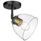 Golden Lighting Roxie 1-Light Wall Sconce with Brushed Champagne Bronze Accent in Matte Black, , large