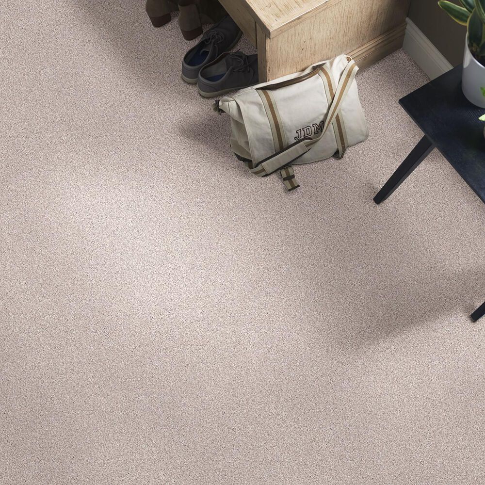Shaw Find Your Comfort TT I Carpet in Evening in Paris, , large