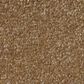 Shaw Luxuriant Carpet in Sienna, , large