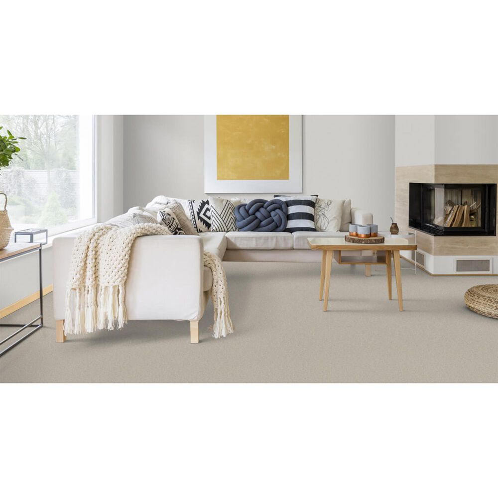 Dixie Home Winding Creek Carpet in Natural Grain, , large