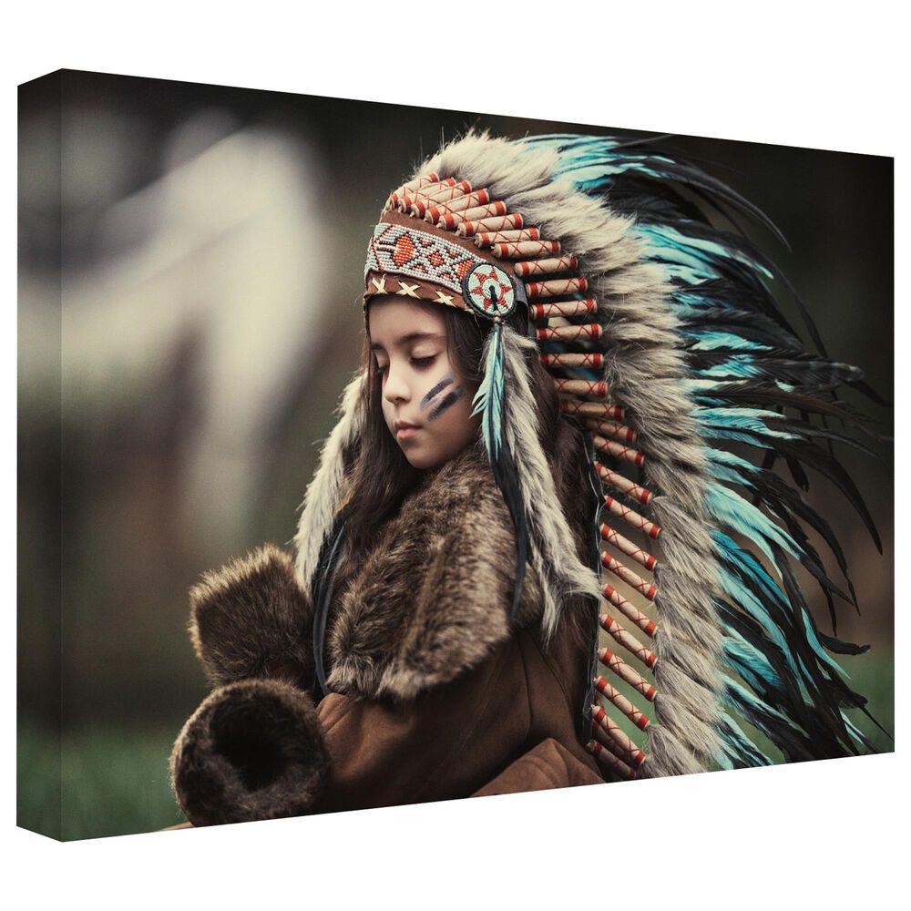Timberlake Chief Of My Dreams 12&quot; x 19&quot; Canvas Art in Black/Tan/Green, , large