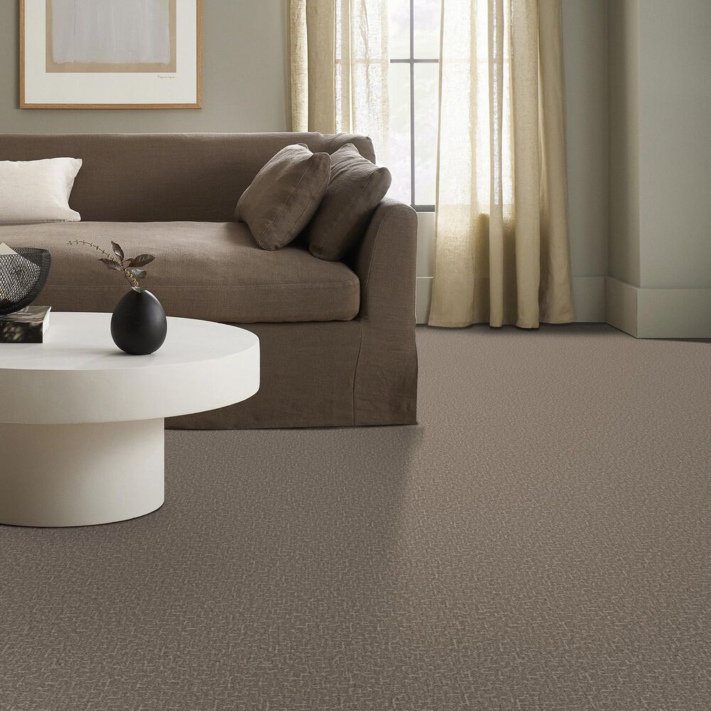 Anderson Tuftex Knickknack Carpet in Rocky Road, , large
