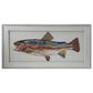 Creative Coop Shoreline 39.25" x 19.75" Paper Collage Fish Framed Wall Decor in Multicolor, , large