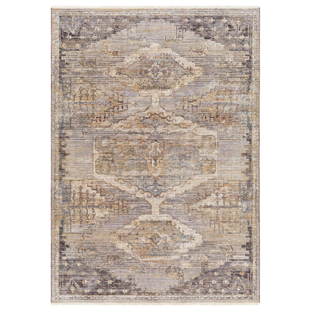 Surya Aida AAD-2303 2" x 2"11" Beige, Tan, Gray, Ivory and Medium Gray Area Rug, , large