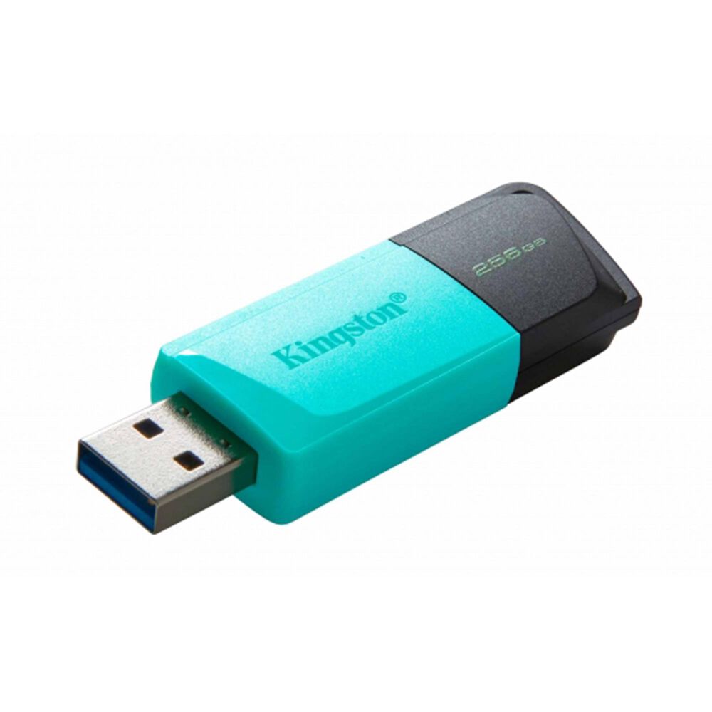 Kingston Technology DataTraveler Exodia M 256GB USB 3.2 Gen 1 Flash Drive in Red, , large