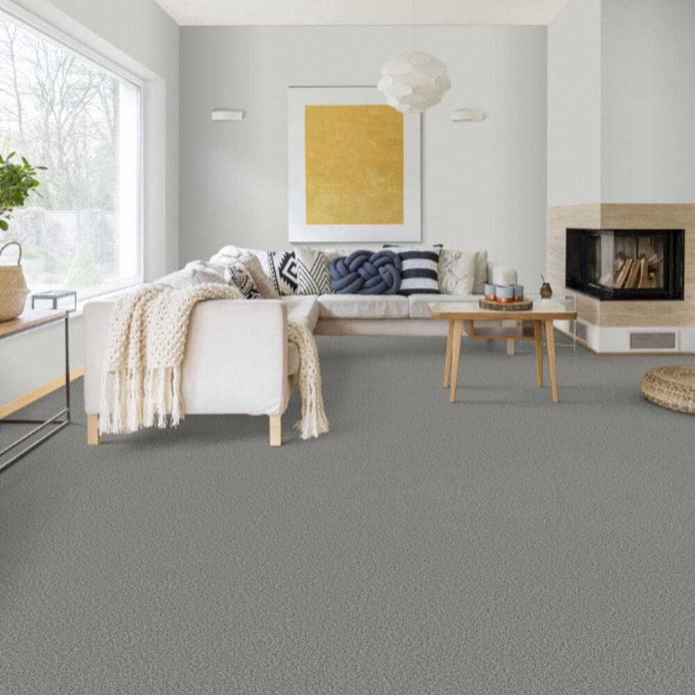 Dixie Home Main Force Carpet in Marble, , large