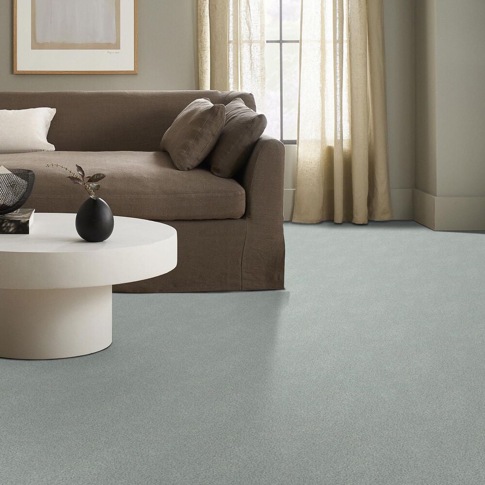 Shaw Tonal Comfort Ii Carpet in Refreshed, , large