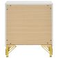 Pacific Landing Lucia 2-Drawer Nightstand in Bright White and Gold, , large