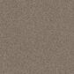 Shaw Affirmation I Carpet in Midtown, , large