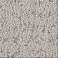 Anderson Tuftex Tangent Carpet in Smooth Stones, , large