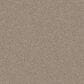 Shaw Yes You Can I Carpet in Natural, , large