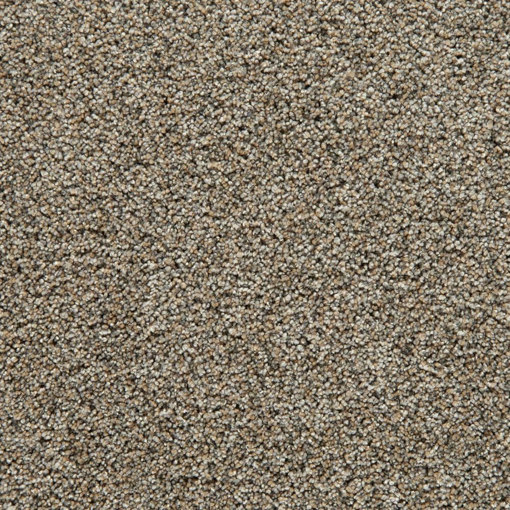Mohawk Cozy Companion III Carpet in Homestead, , large