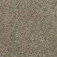 Mohawk Cozy Companion III Carpet in Homestead, , large