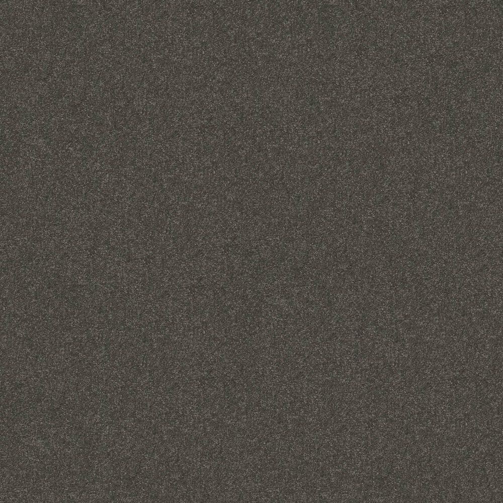 Shaw Luxuriant Carpet in Mountain Shadow, , large