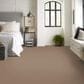 Anderson Tuftex Finery Carpet in Crisp Tan, , large
