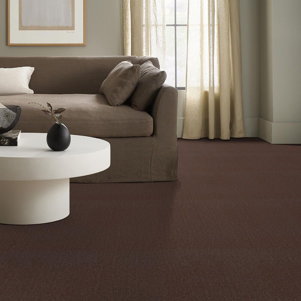 Shaw Canvas Comfort Carpet in Chili, , large