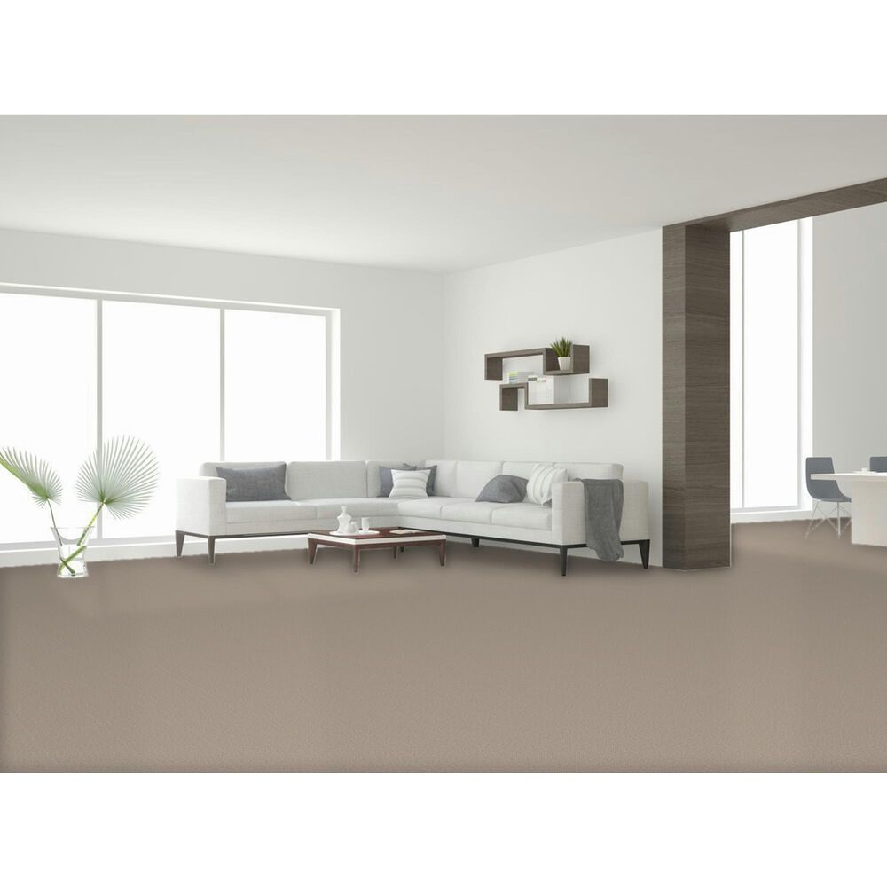 Dream Weaver East Hampton 2550 Carpet in Oxford, , large