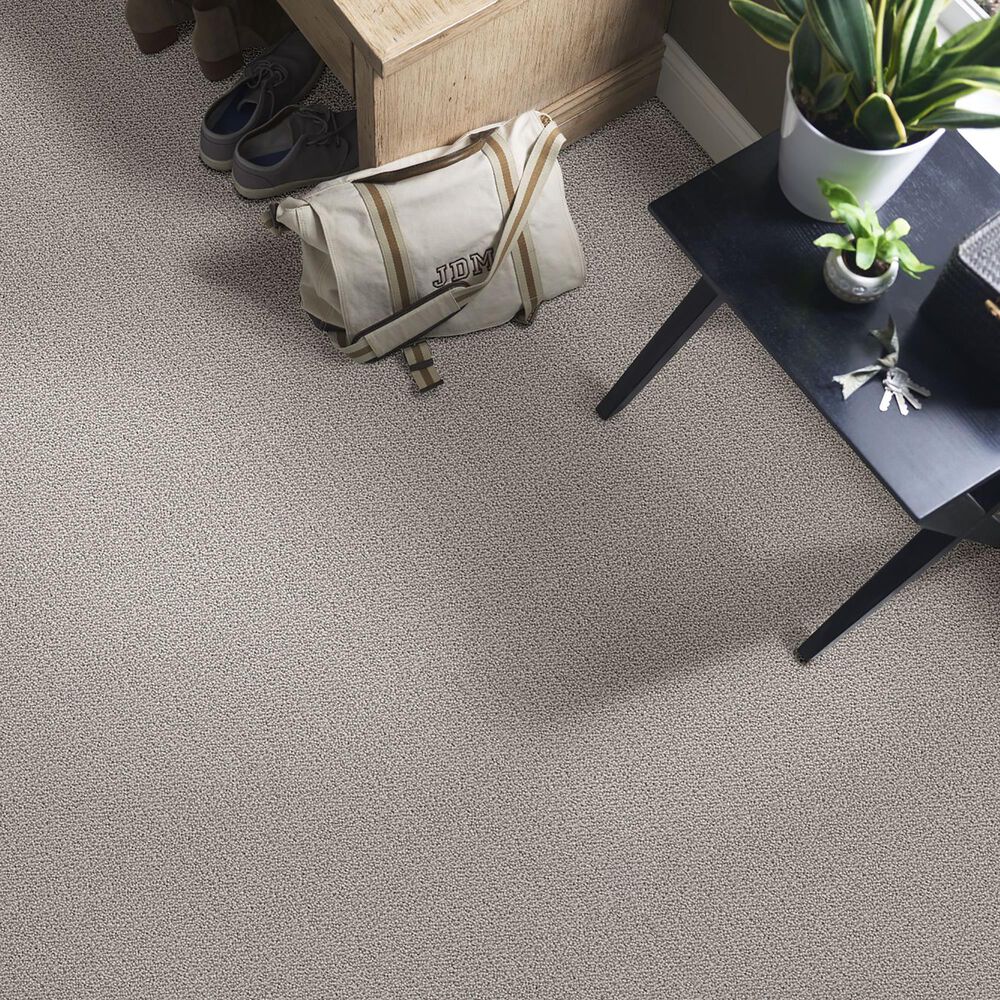 Shaw Loop De Loop Carpet in Warm Greige, , large