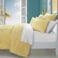 J. Queen Bold Darby 2-Piece Twin/Twin XL Comforter Set in Yellow, , large
