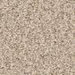 Anderson Tuftex Fabulous Carpet in Windswept, , large