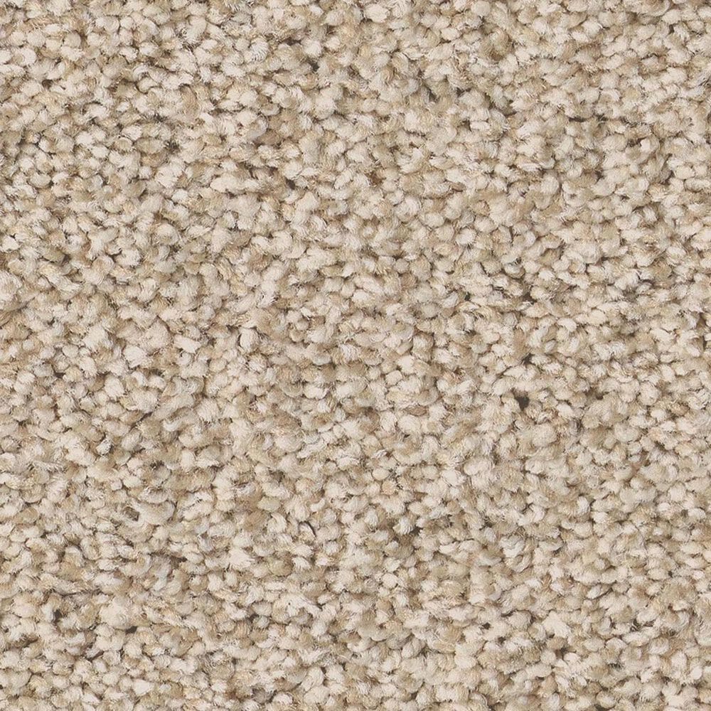 Anderson Tuftex Fabulous Carpet in Windswept, , large
