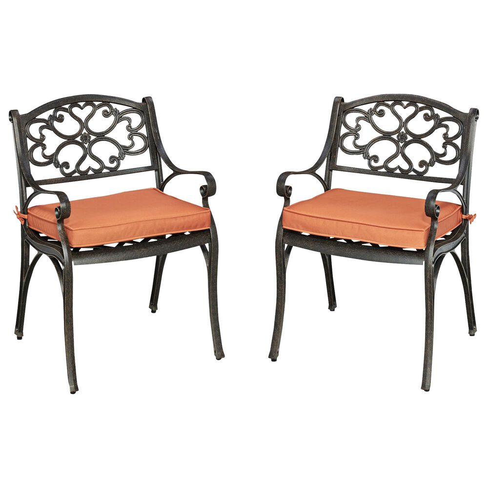 Homestyles Sanibel Chair & Cushion in Rust Bronze (Set of 2), , large