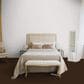 Dixie Home Galliard Carpet in Old World, , large