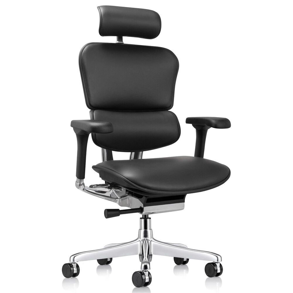 Raynor Group Ergohuman High Back Leather Executive Chair in Black, , large