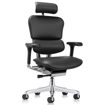 Raynor Group Ergohuman High Back Leather Executive Chair in Black, , large