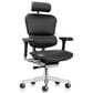 Raynor Group Ergohuman High Back Leather Executive Chair in Black, , large
