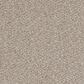 Dream Weaver Cape Cod Carpet in Iron Frost, , large