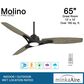 Minka-Aire Molino 65" Indoor/Outdoor Ceiling Fan with LED Light in Coal, , large