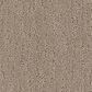 Phenix Verona Carpet in Romanesque, , large