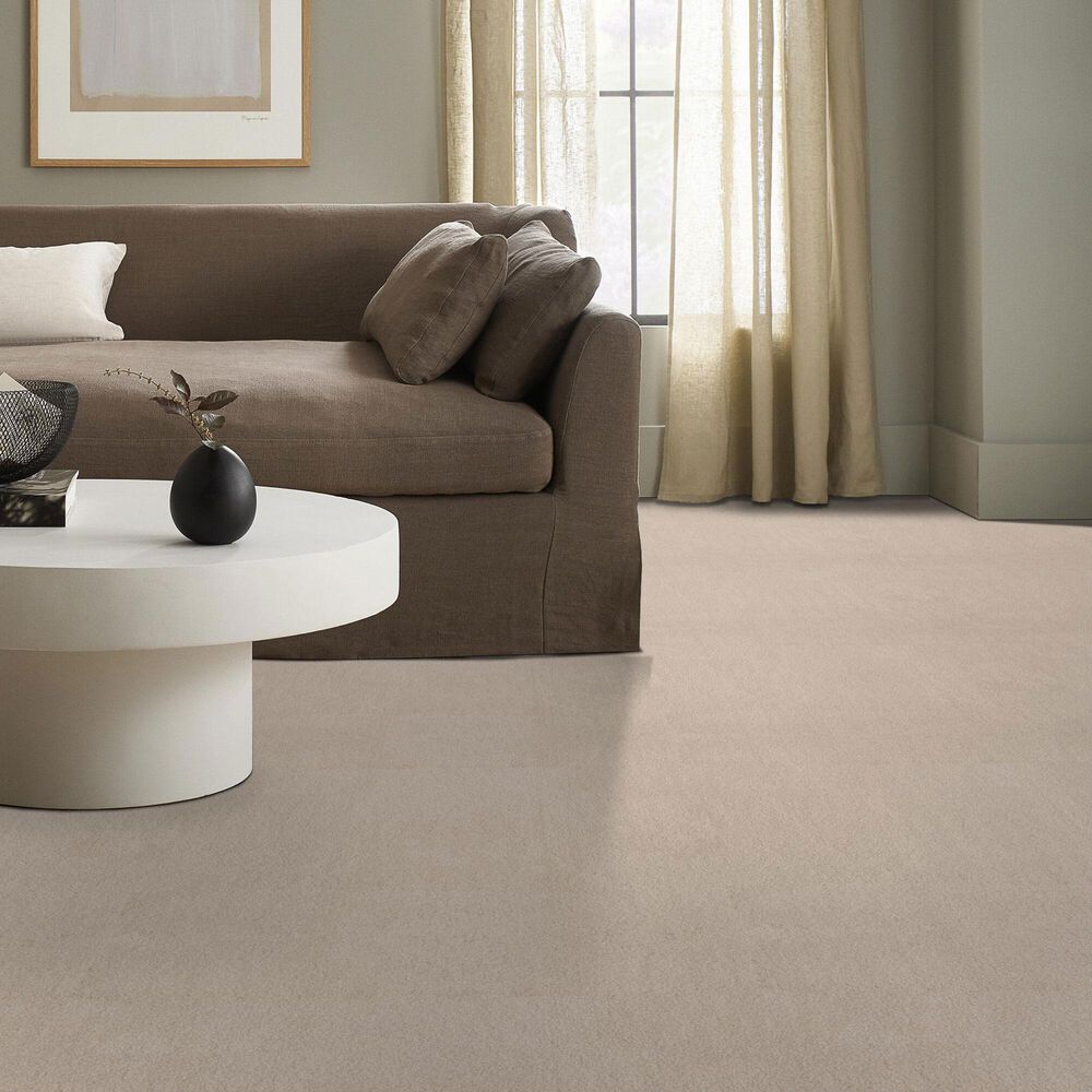 Anderson Tuftex Luxe Feel I Carpet in Heirloom, , large