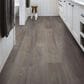Shaw Anvil Plus Grey Chestnut 7" x 48" Luxury Vinyl Plank, , large