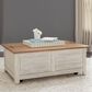 Belle Furnishings Farmhouse Reimagined Storage Trunk in White, , large