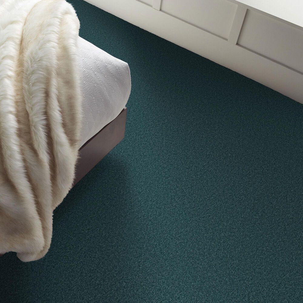 Shaw Comforting II Carpet in Tailwind, , large
