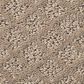 Shaw Foundations Formalize Carpet in Desert View, , large
